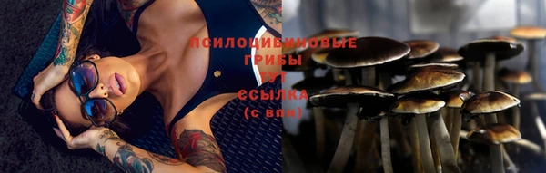 эйфоретик Арсеньев