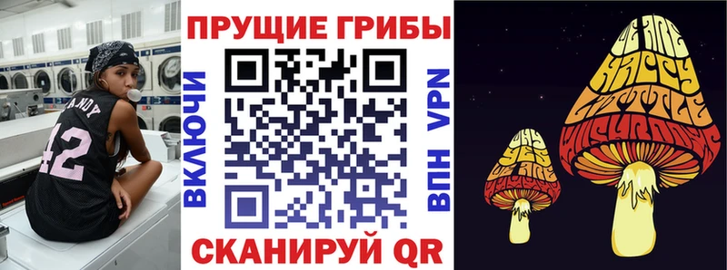 гидра вход  наркота  Орёл  Псилоцибиновые грибы MAGIC MUSHROOMS 