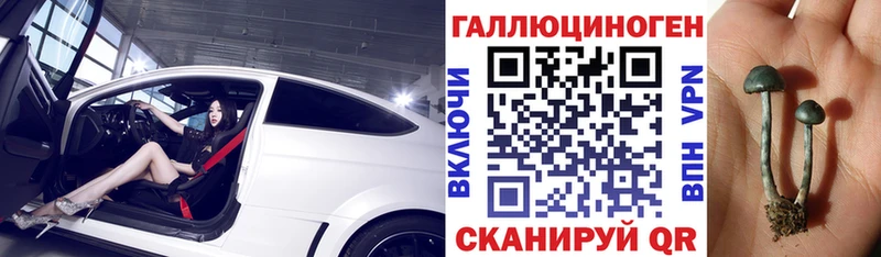Псилоцибиновые грибы Psilocybine cubensis Орёл